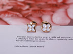 [⭐DORISW] STERN UND SONNE ROSEGOLD PERLMUTT OHRSTECKER