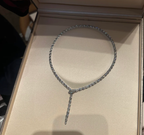 [⭐DORISW]NEW！SERPENT DIAMOND NECKLACE
